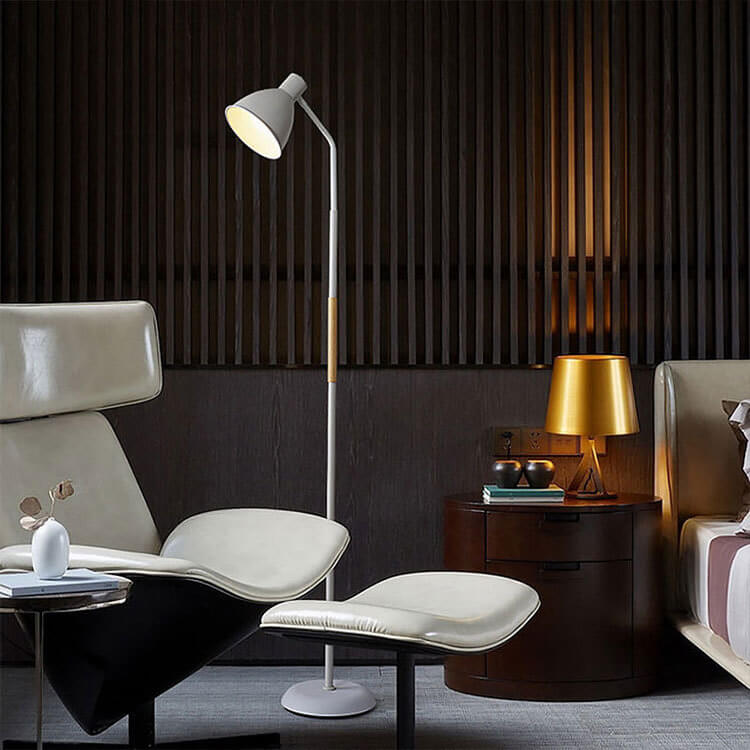 Modern Minimalist Black Floor Lamp
