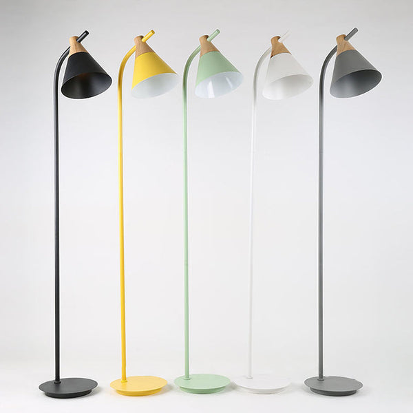 Nordic Black Floor Lamp