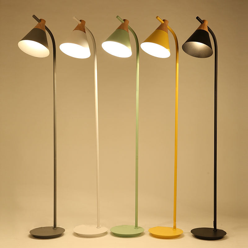 Nordic Black Floor Lamp
