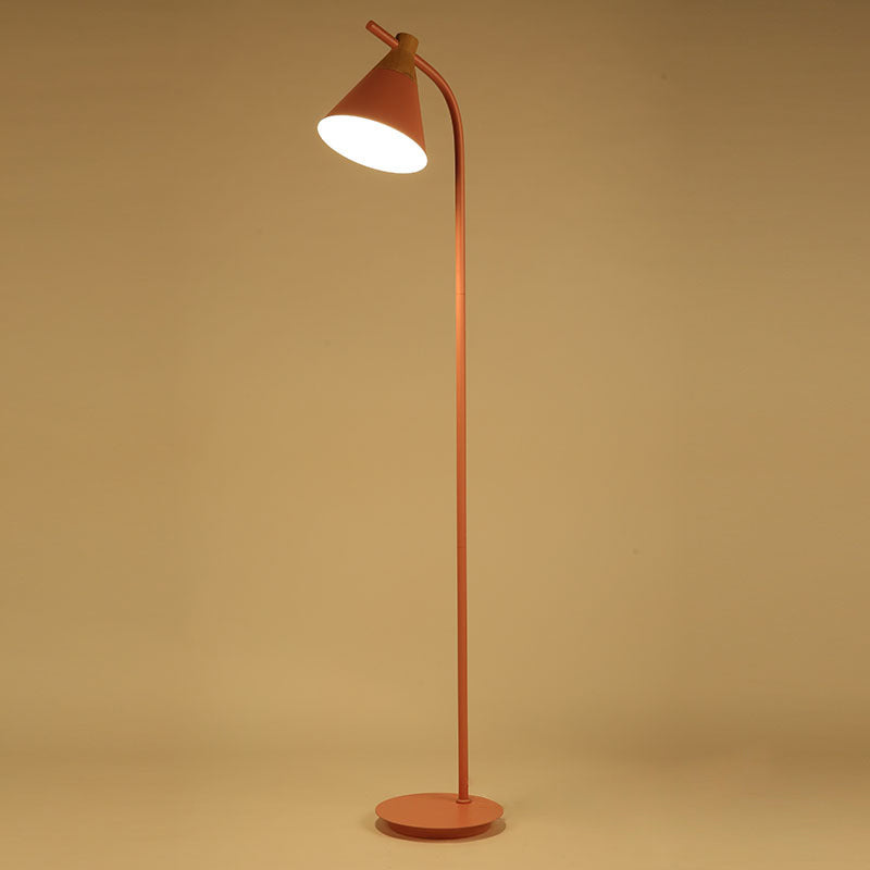 Nordic Black Floor Lamp