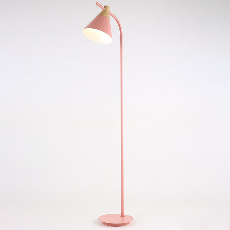 Nordic Black Floor Lamp