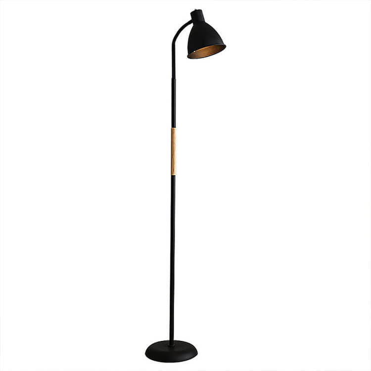 Modern Minimalist Black Floor Lamp