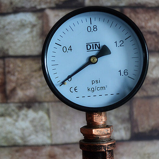 Industrial Steampunk Bronze 2-Light Floor Lamp