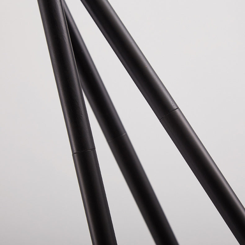 Contemporary Black Floor Lamp