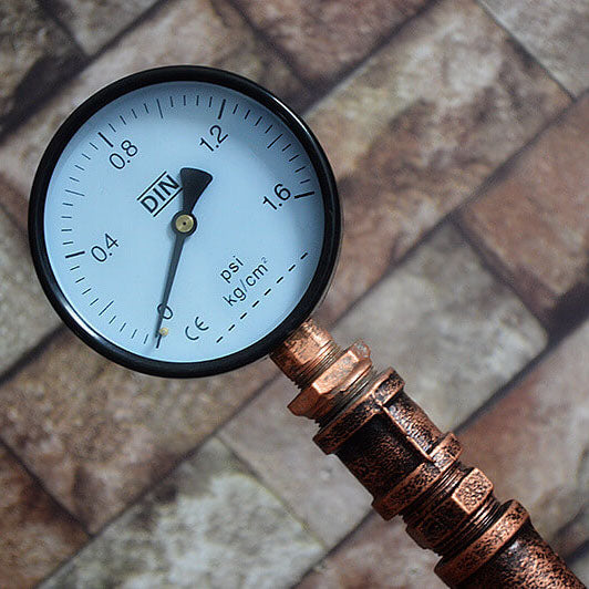 Industrial Steampunk Bronze 2-Light Floor Lamp