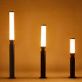 Chic Modern Black Outdoor Stake Light