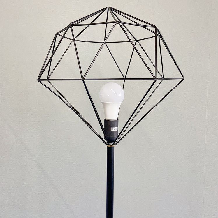 Contemporary Black Floor Lamp