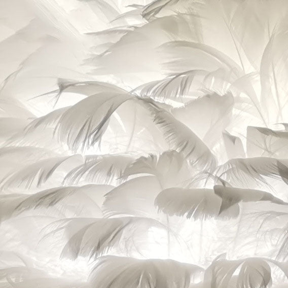 Nordic Goose Feather Metal Flamingo Ball 1-Light Table Lamp