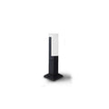 Modern Black Outdoor Stake Light