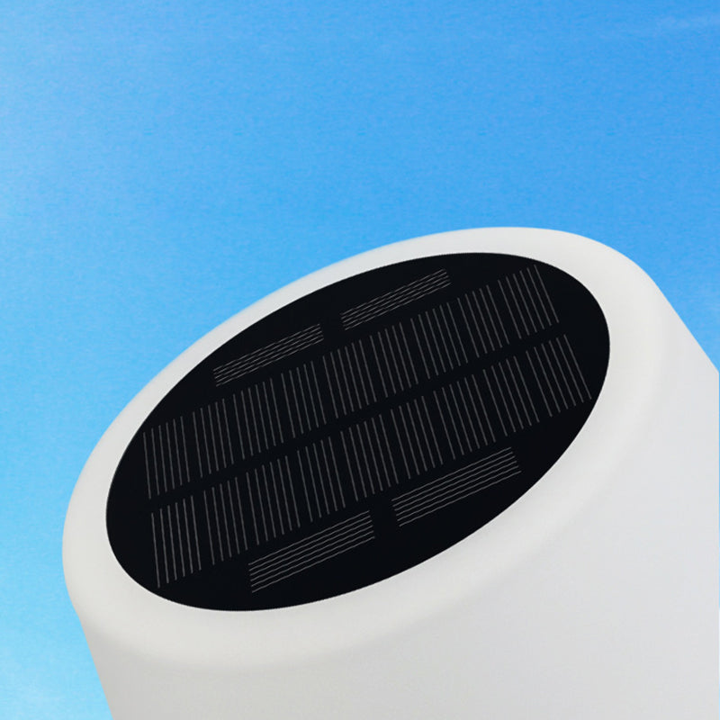 Modern Minimalist Black Outdoor Stake Light
