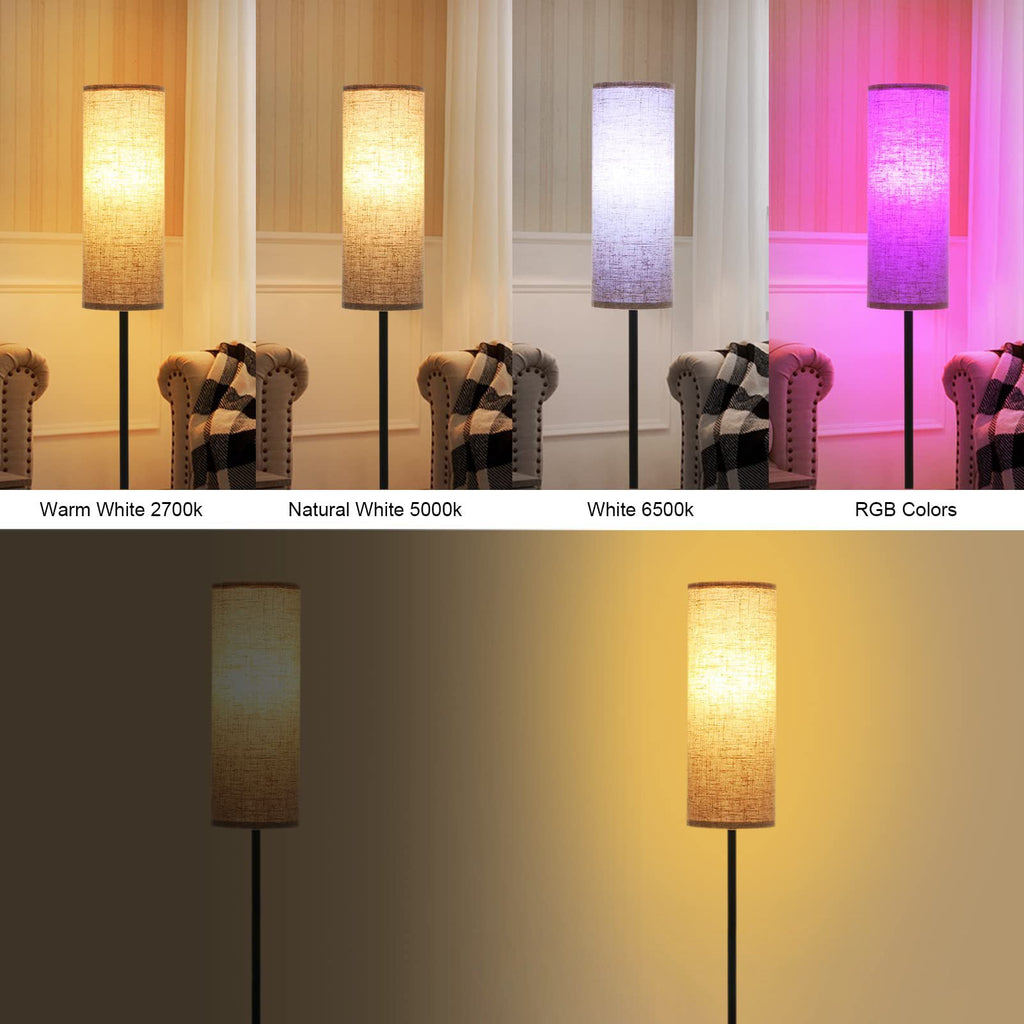 Modern Minimalist Black Floor Lamp