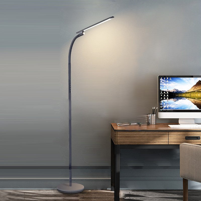 Modern Minimalist Black Floor Lamp