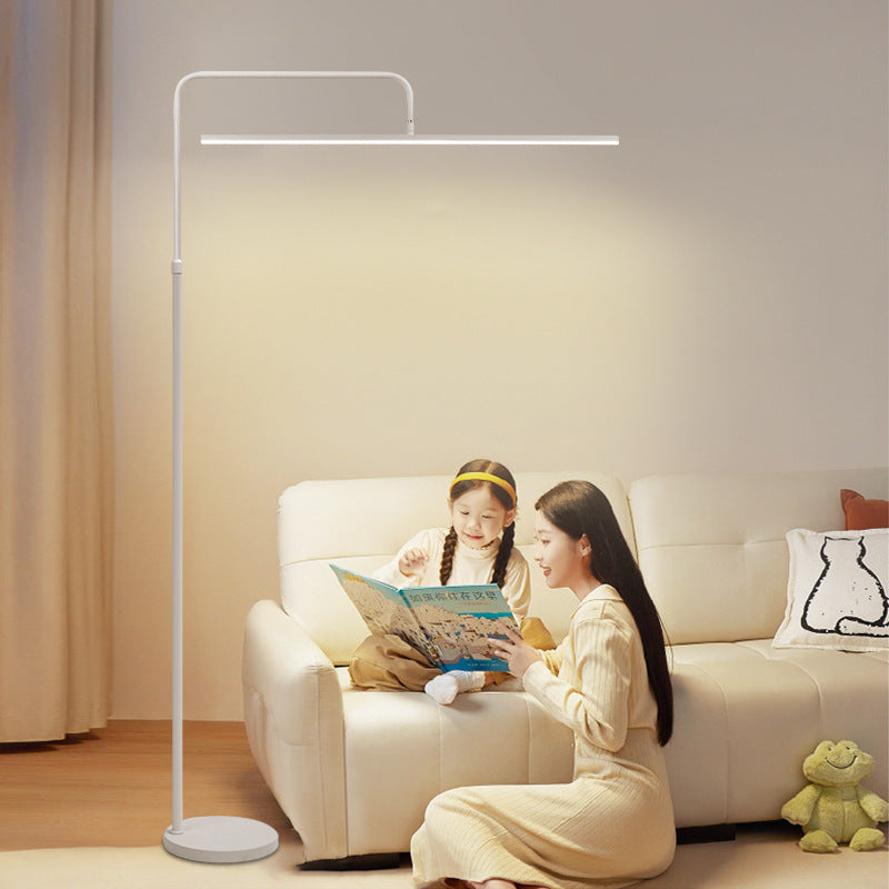Modern Minimalist Black Floor Lamp