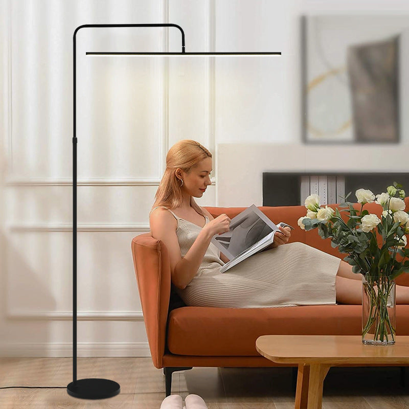 Modern Minimalist Black Floor Lamp