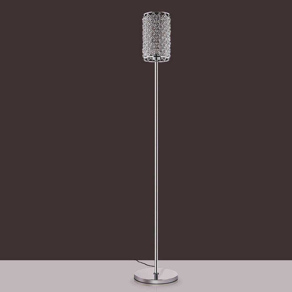 Modern Gold Floor Lamp