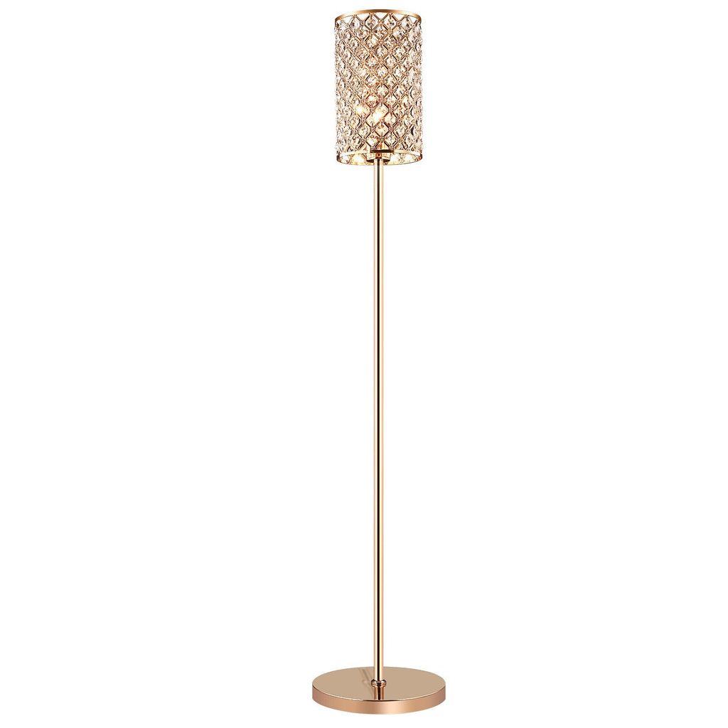 Modern Gold Floor Lamp