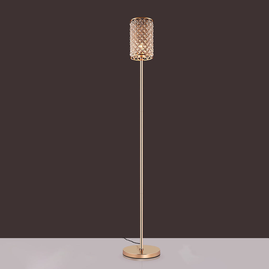 Modern Gold Floor Lamp