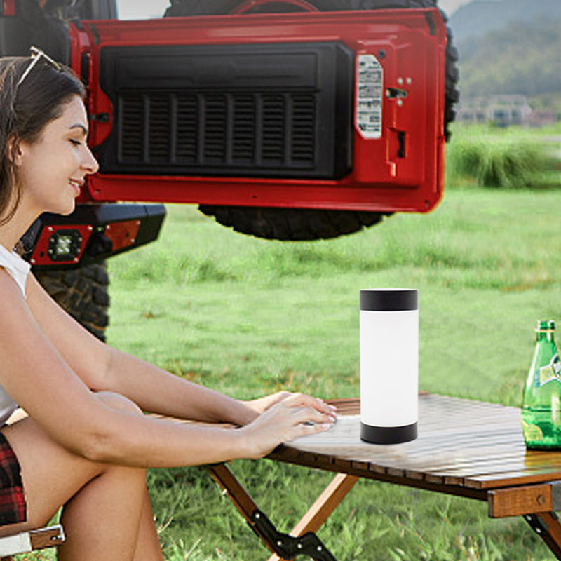 Modern Minimalist Solar Waterproof Stainless Table Lamp