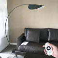 Modern Black Floor Lamp