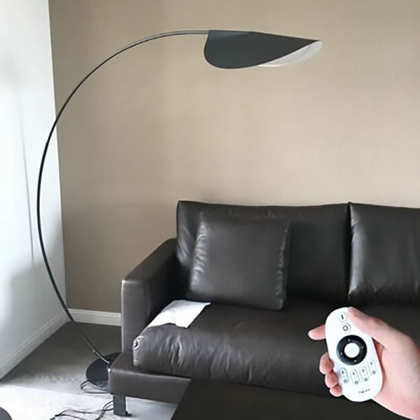 Modern Black Floor Lamp